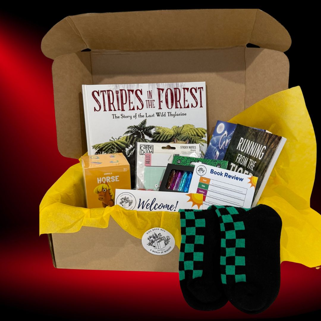 kids book box mature readers box and gift inclusions