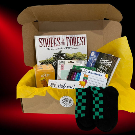 kids book box mature readers box and gift inclusions