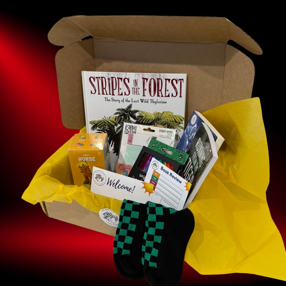 kids book box mature reader box and gift inclusions