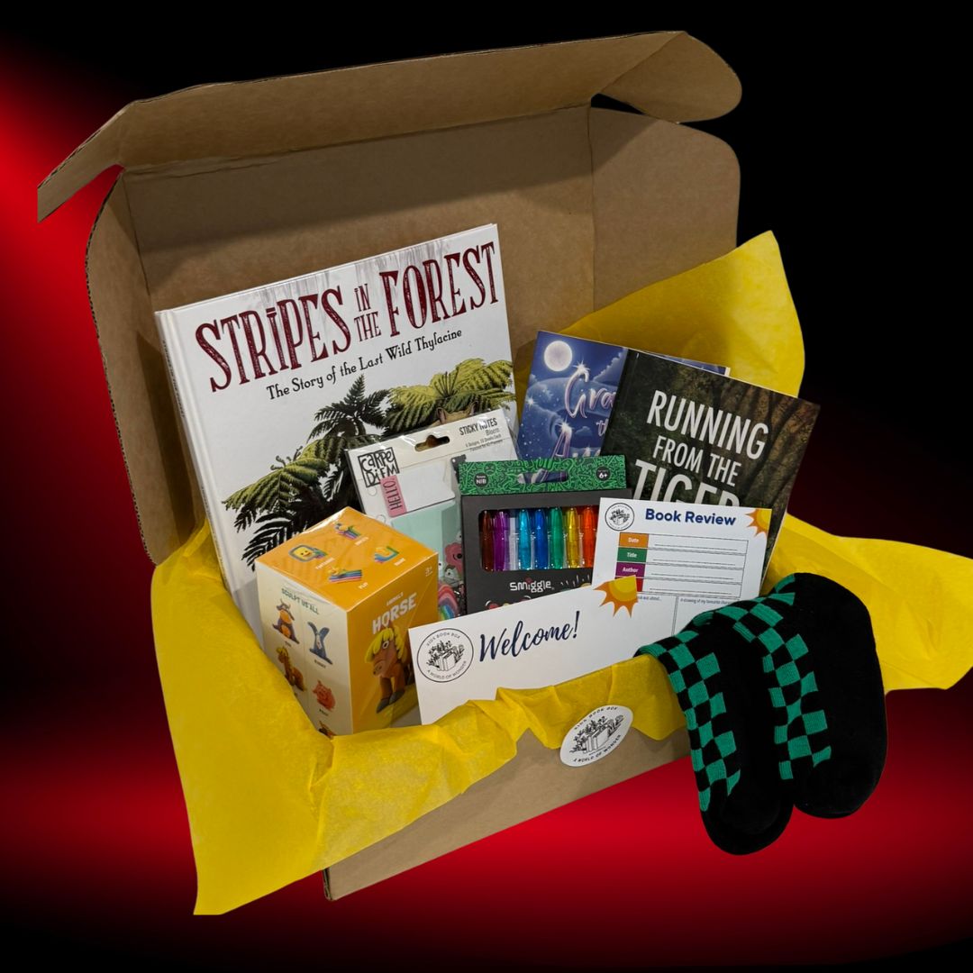 kids book box mature reader box and gift inclusions