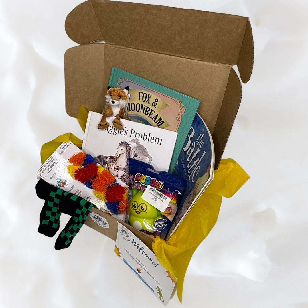 kids book box preschool kindergarten box and gift inclusions 