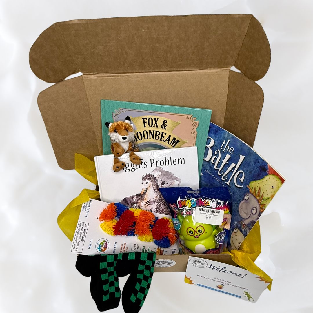 kids book box preschool kindergarten box and gift inclusions 